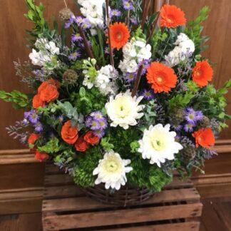 Lutz Harmony Basket