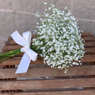 Baby's Breath Bouquet