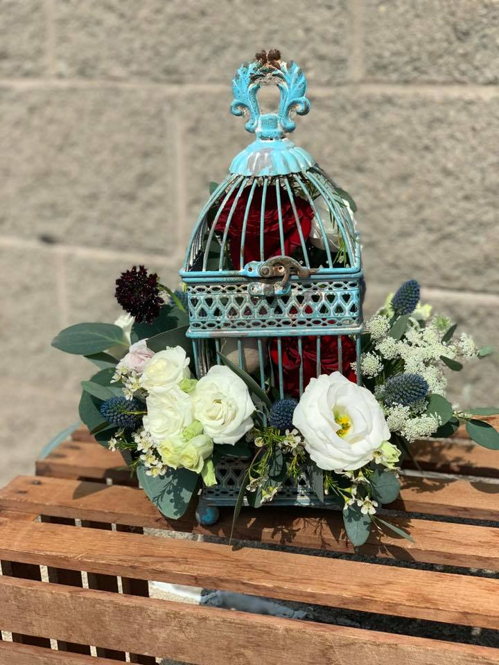 Birdcage Flowers