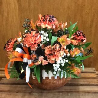 Bengals Football