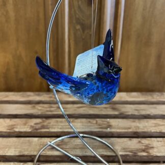 Crystal Blue Jay