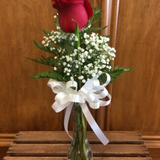 Single Rose in Bud Vase