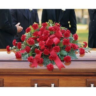 Lutz Red Carnation Casket Spray