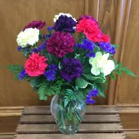 Dozen Carnations Mixed