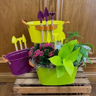 Limited Release! Featured Selection: Cam's Garden Can
