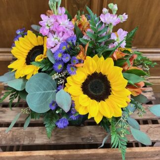Lutz Splendid Sunflower Cube