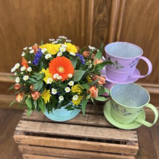 Touch of Spring