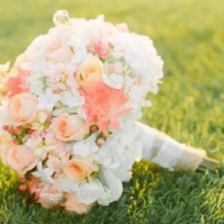 White & peach