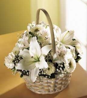 Divinity Basket