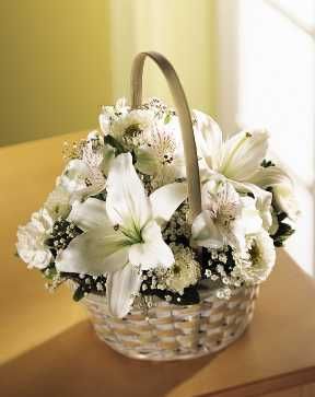 Divinity Basket