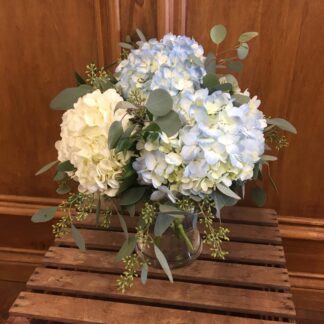 Happy Hydrangeas