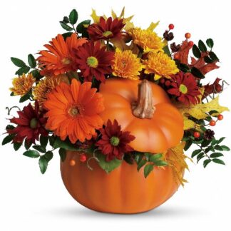 Teleflora Orange Pumpkin