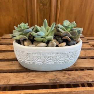 Succulent and Sage