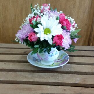 Lutz TeaCup Arrangement