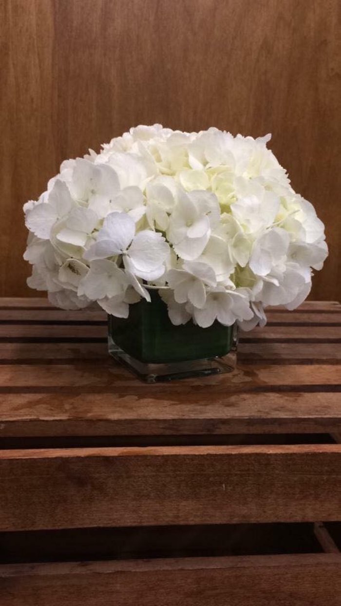 Small Hydrangea Cube