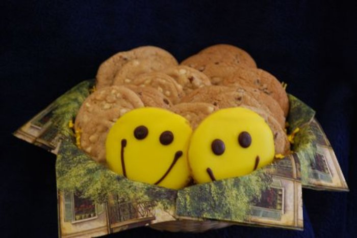 Lutz Cookie LZCB-1