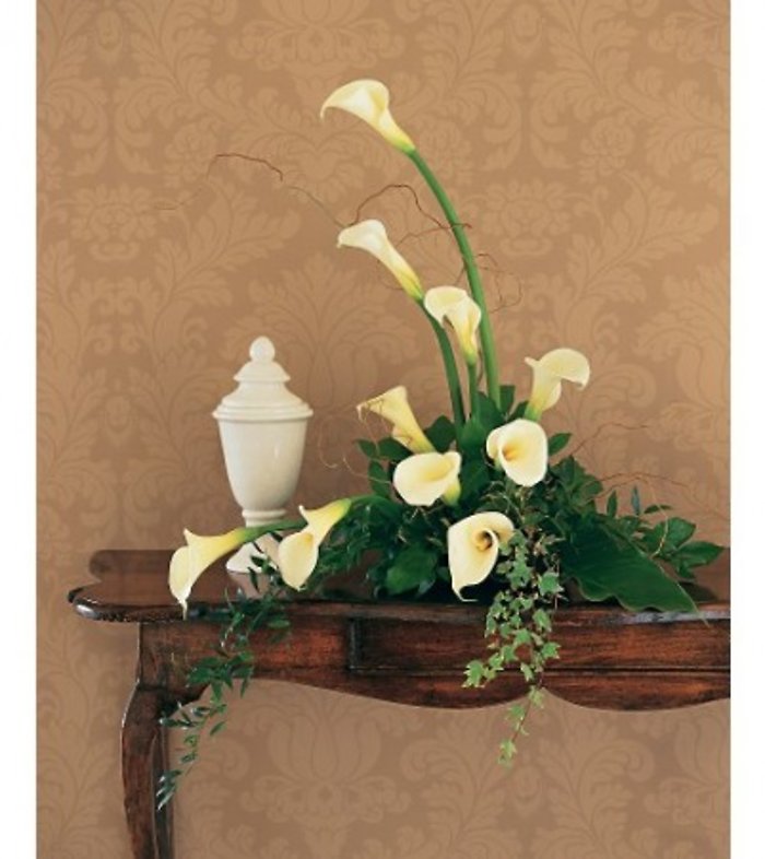 Calla Expressions