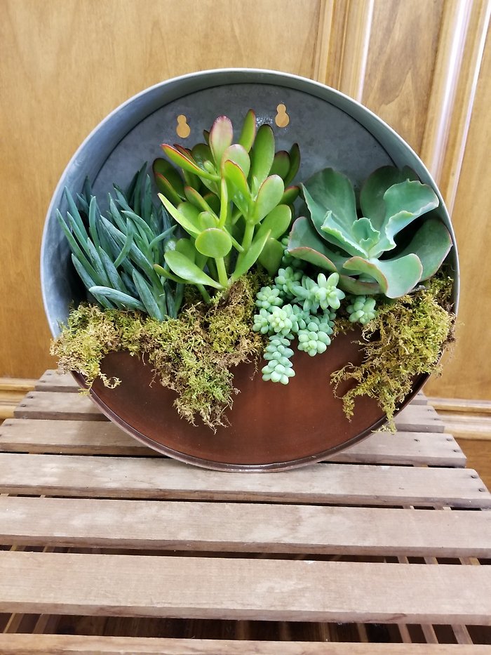 Galvanized Wall Planter