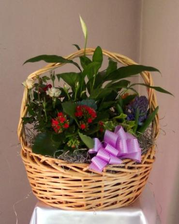 Blooming Basket LBB-1