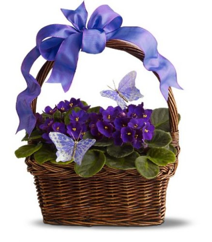 Butterfly Basket