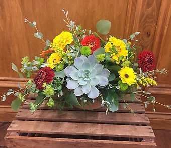 Boho & Succulent Garden