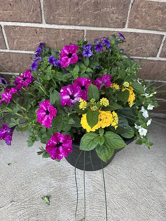 Lutz 13\" Solid Band Patio Pot