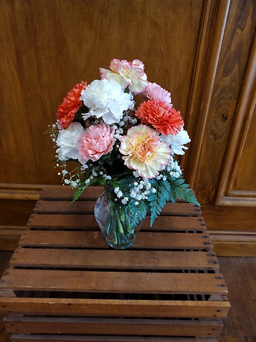 Dz Mixed Carnations