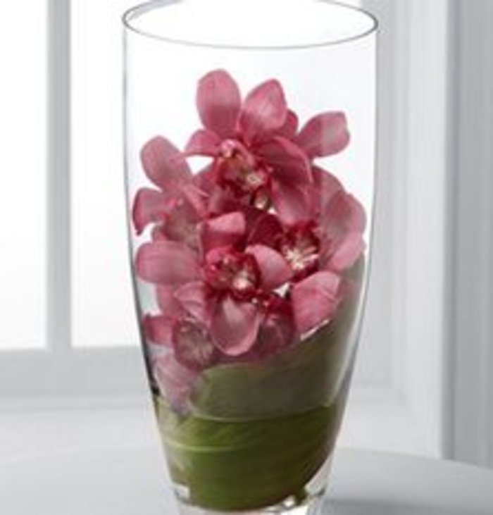 Luxury Orchid