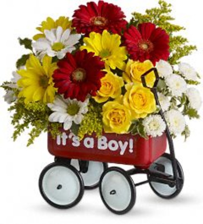 Baby\'s First Wagon LZNB-9