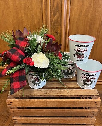 Lutz Cozy Christmas Tin