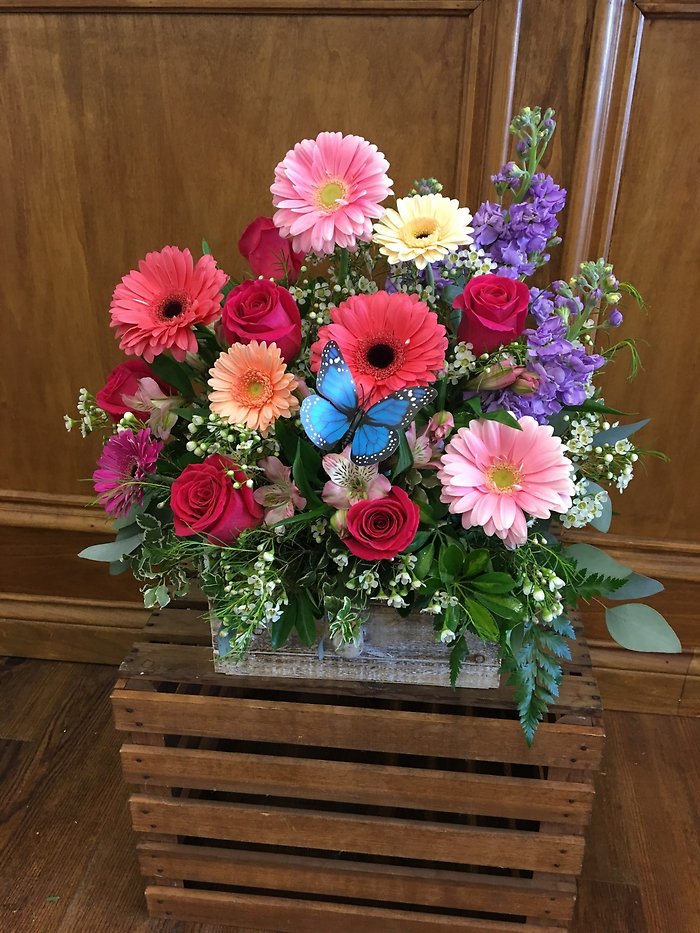 Gerbera Garden Box