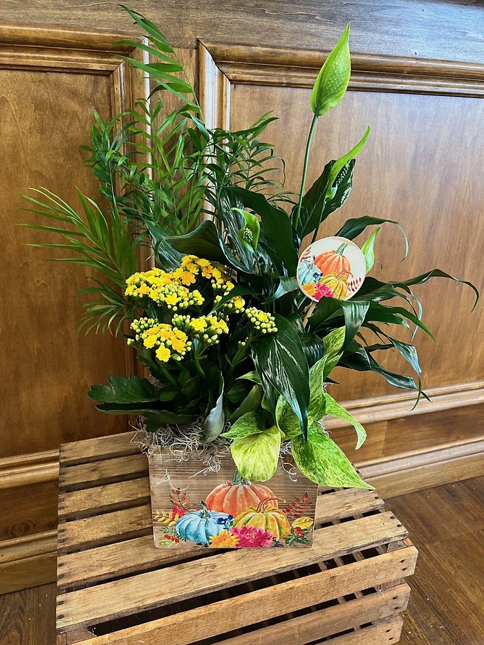 Blooming Into Fall Planter