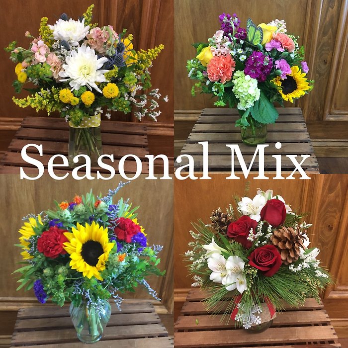 Seasonal Splendor