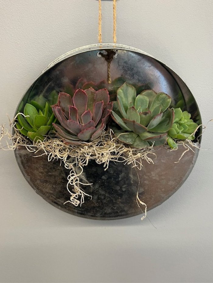 Galvanized Wall Planter