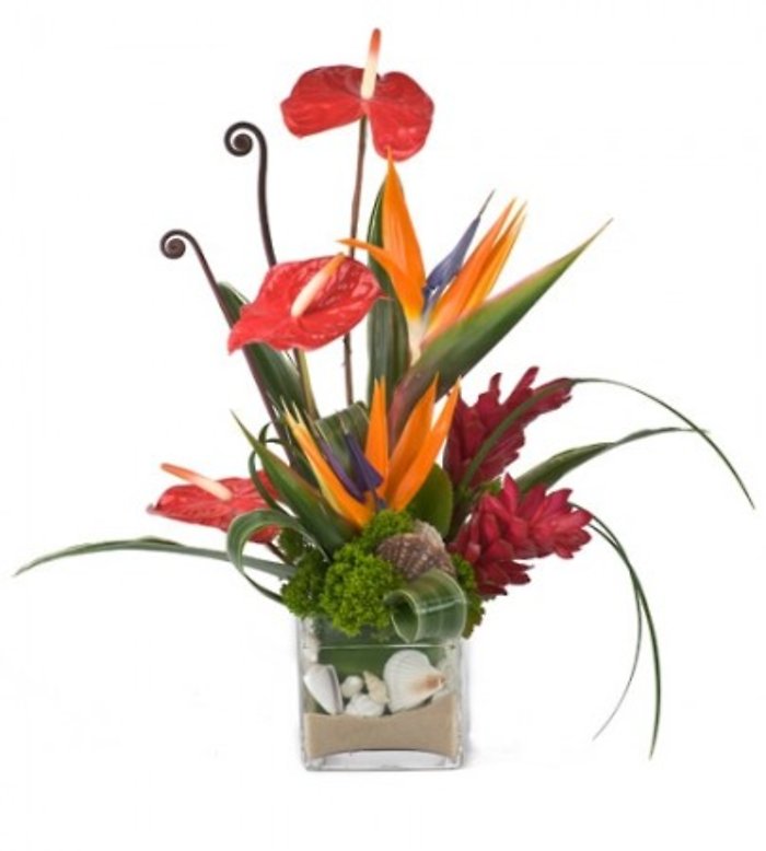 Lutz Exotic Arrangement LZE-15