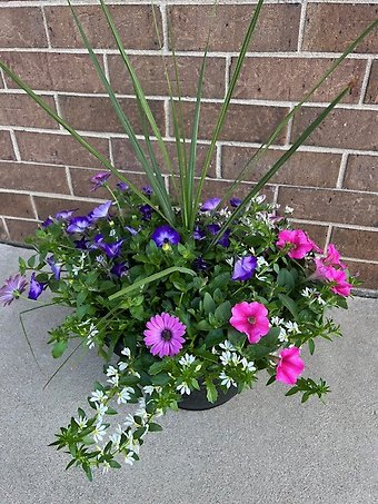 Lutz 15\" Large Patio Pot