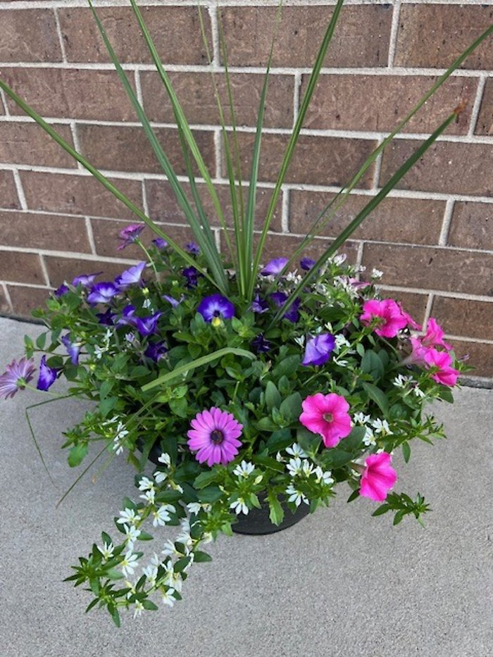 Lutz 15\" Large Patio Pot