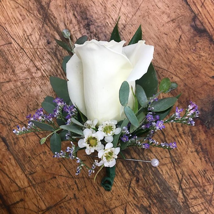 White rose with touch of purple