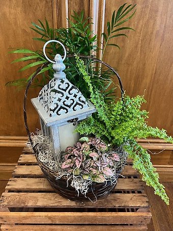 Botanical Grace