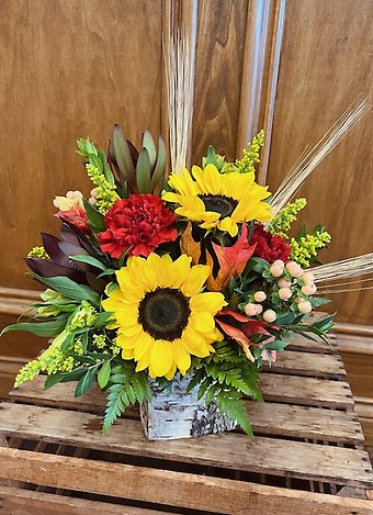 Limited Release! Designer\'s Choice Harvest Trails