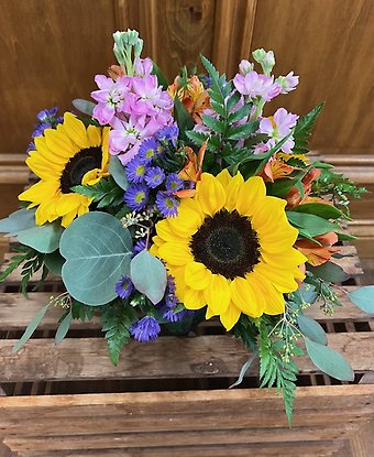 Lutz Splendid Sunflower Cube