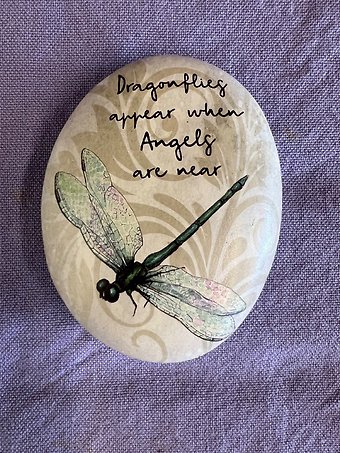Tiny Dragonfly Stone