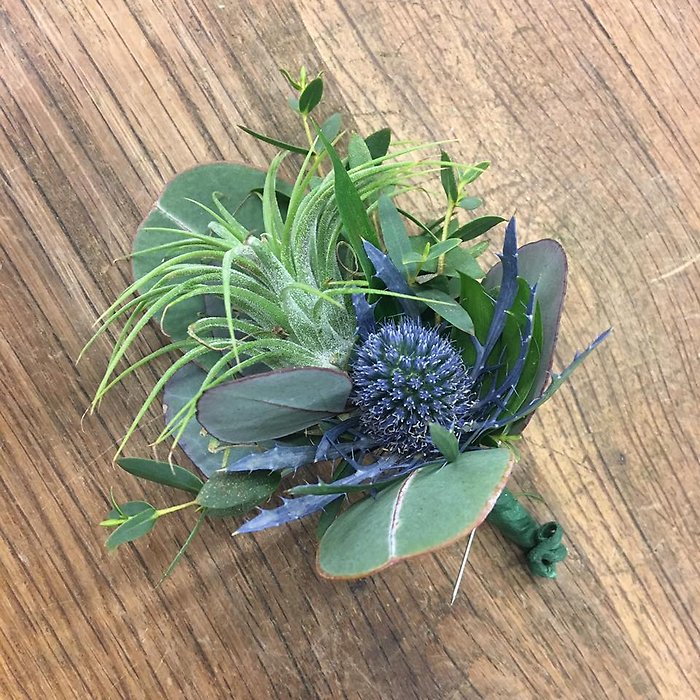 Airplant Boutonnieres