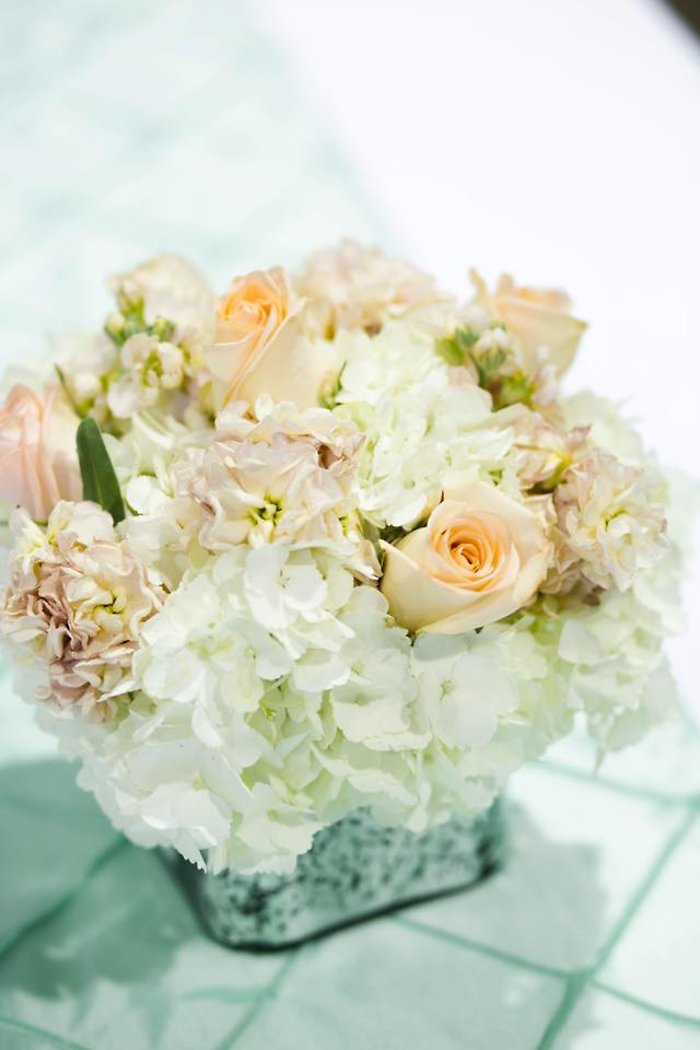 White & peach