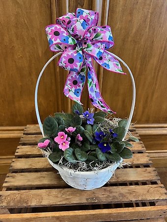 African Violets In A Basket