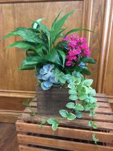Box & Blooming Planter
