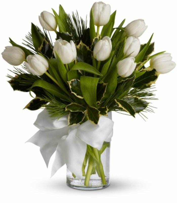 Christmas Tulips