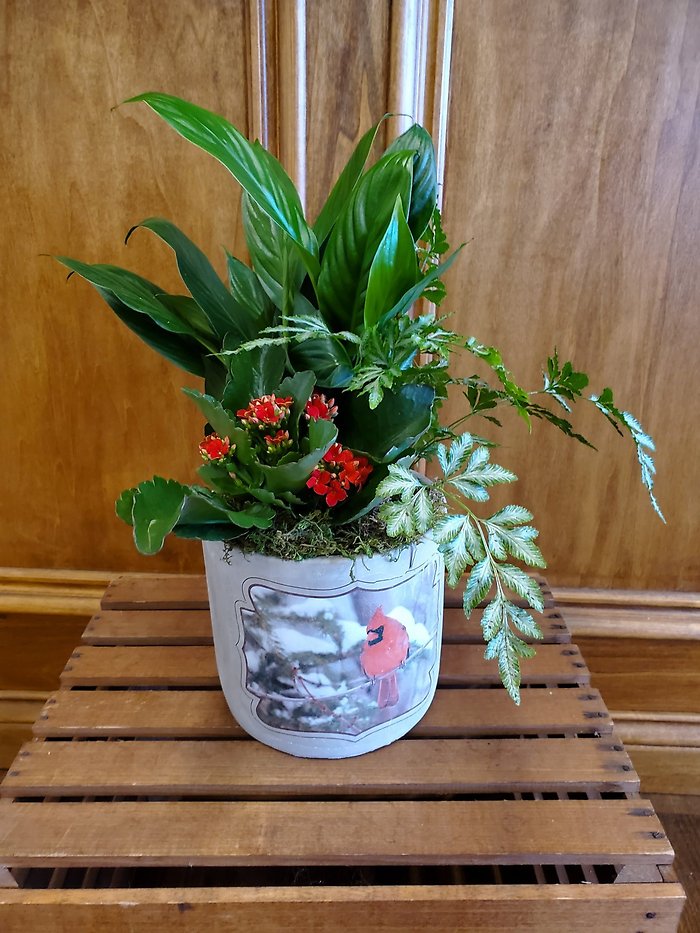Cardinal Planter