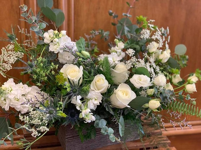 Lutz Sympathy Box