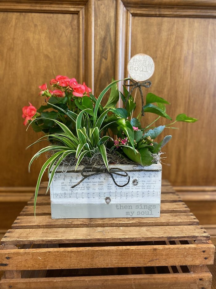 Then Sings My Soul Large Planter Box